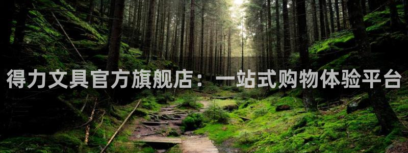 彩名堂手机客户端：得力文具官方旗舰店：一