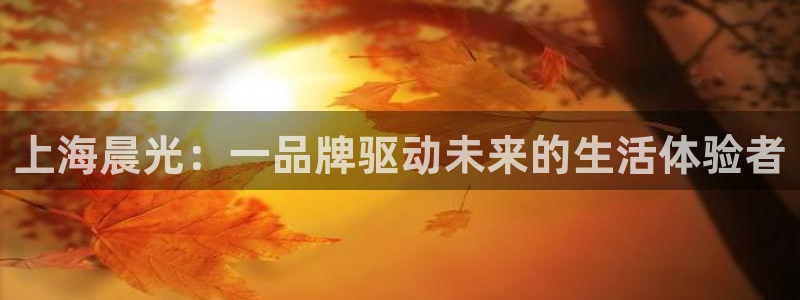 彩名堂预测官网：上海晨光：一品牌驱动未来