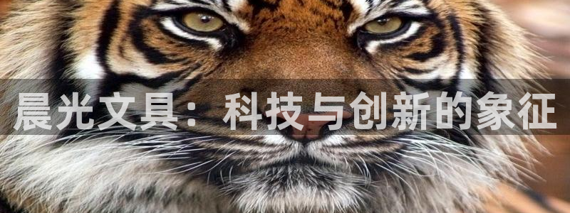 彩名堂为什么打不开：晨光文具：科技与创新