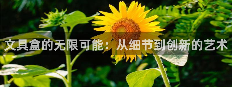 彩名堂免费计划官网5.0.0：文具盒的无