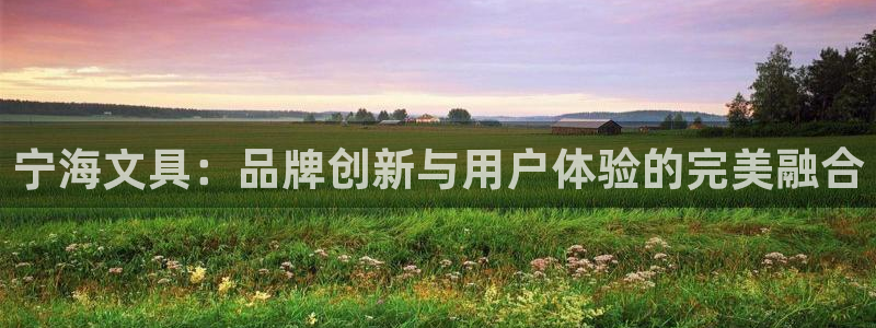 彩名堂app官方网：宁海文具：品牌创新与