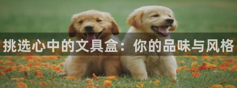 彩名堂安卓客户端官网：挑选心中的文具盒：