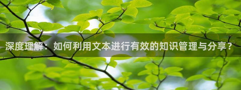 彩名堂人工计划怎么找不到下载了?：深度理