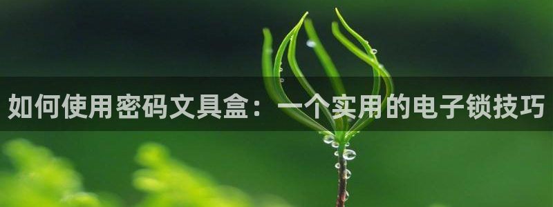 彩名堂改成什么名字了：如何使用密码文具盒