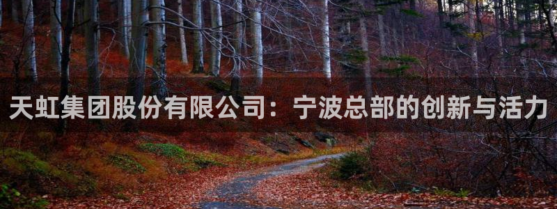 彩名堂官网在线计划：天虹集团股份有限公司