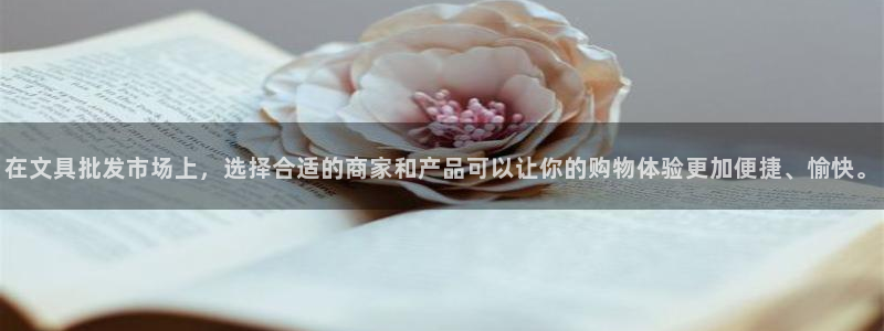 彩名堂官网客户端：在文具批发市场上，选择