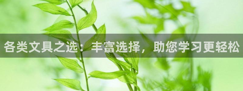 彩名堂计划app新版