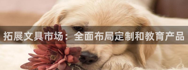 彩名堂怎么打最稳