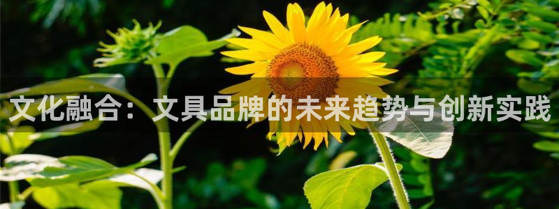 彩名堂为啥不准了乱变