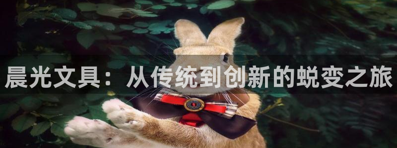 彩名堂和01计划哪个好