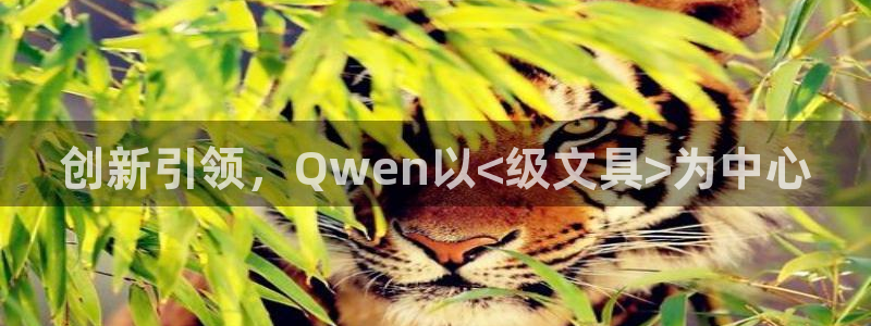 彩名堂用不了
