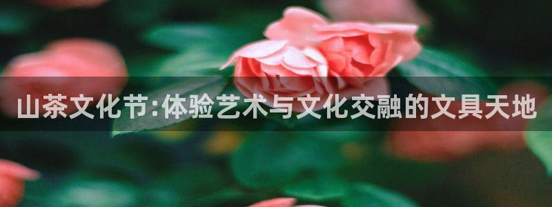 彩名堂预测免费计划app-彩名堂预测免费