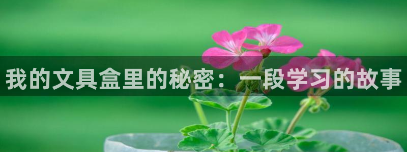 正规彩名堂官网计划