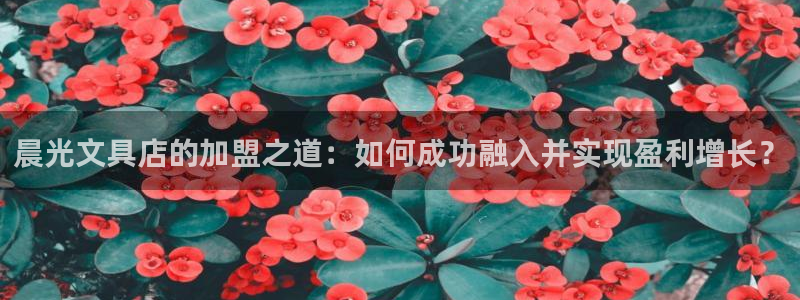 彩名堂为什么用不了了