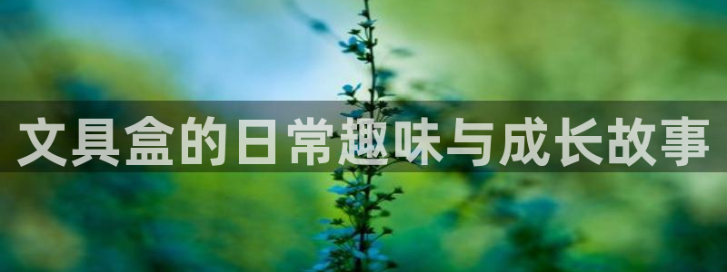彩名堂网页：文具盒的日常趣味与成长故事