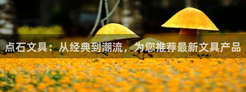 彩名堂用不了：点石文具：从经典到潮流，为
