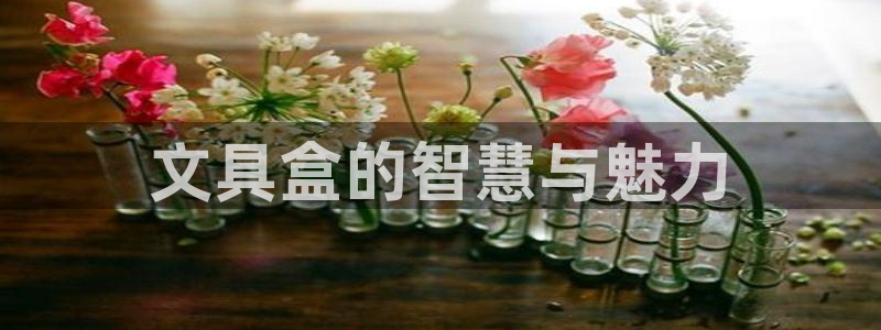 彩名堂预测计划：文具盒的智慧与魅力